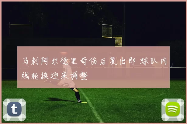 马刺阿尔德里奇伤后复出即 球队内线轮换迎来调整