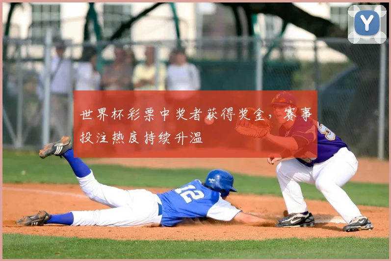 世界杯彩票中奖者获得奖金,赛事投注热度持续升温