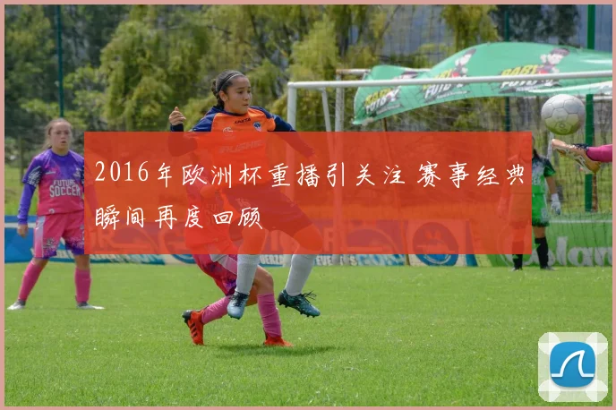 2016年欧洲杯重播引关注 赛事经典瞬间再度回顾
